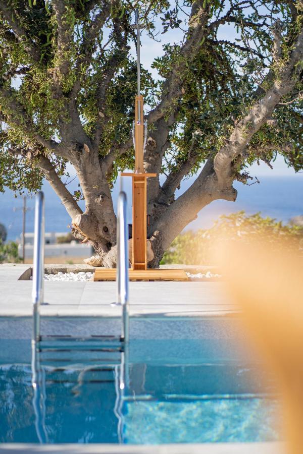 Santa Marina Syros Villa Liaropá Exterior foto